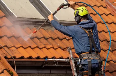Démoussage et hydrofuge de toiture à Cantaous